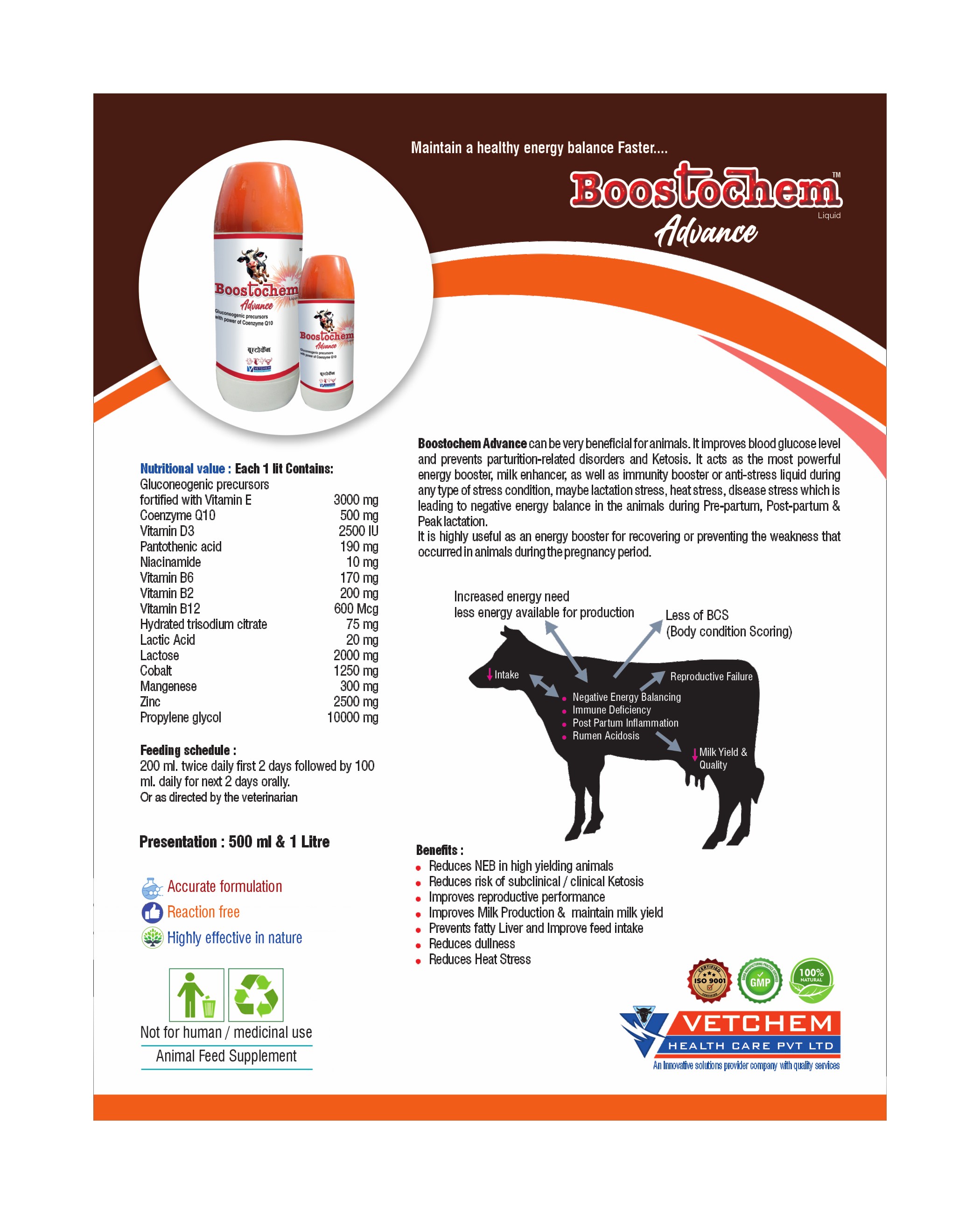 Brochure Page 8