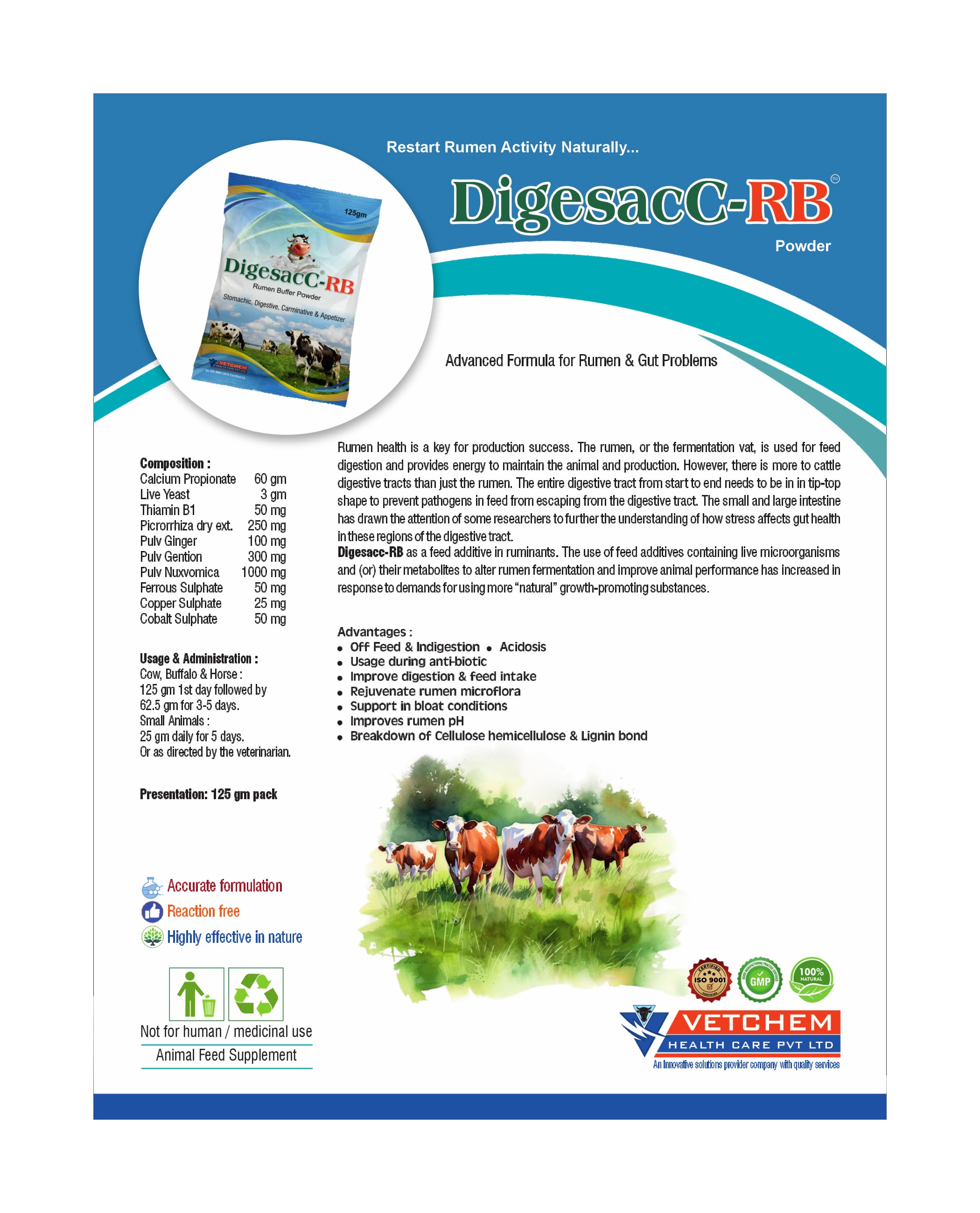 Brochure Page 13