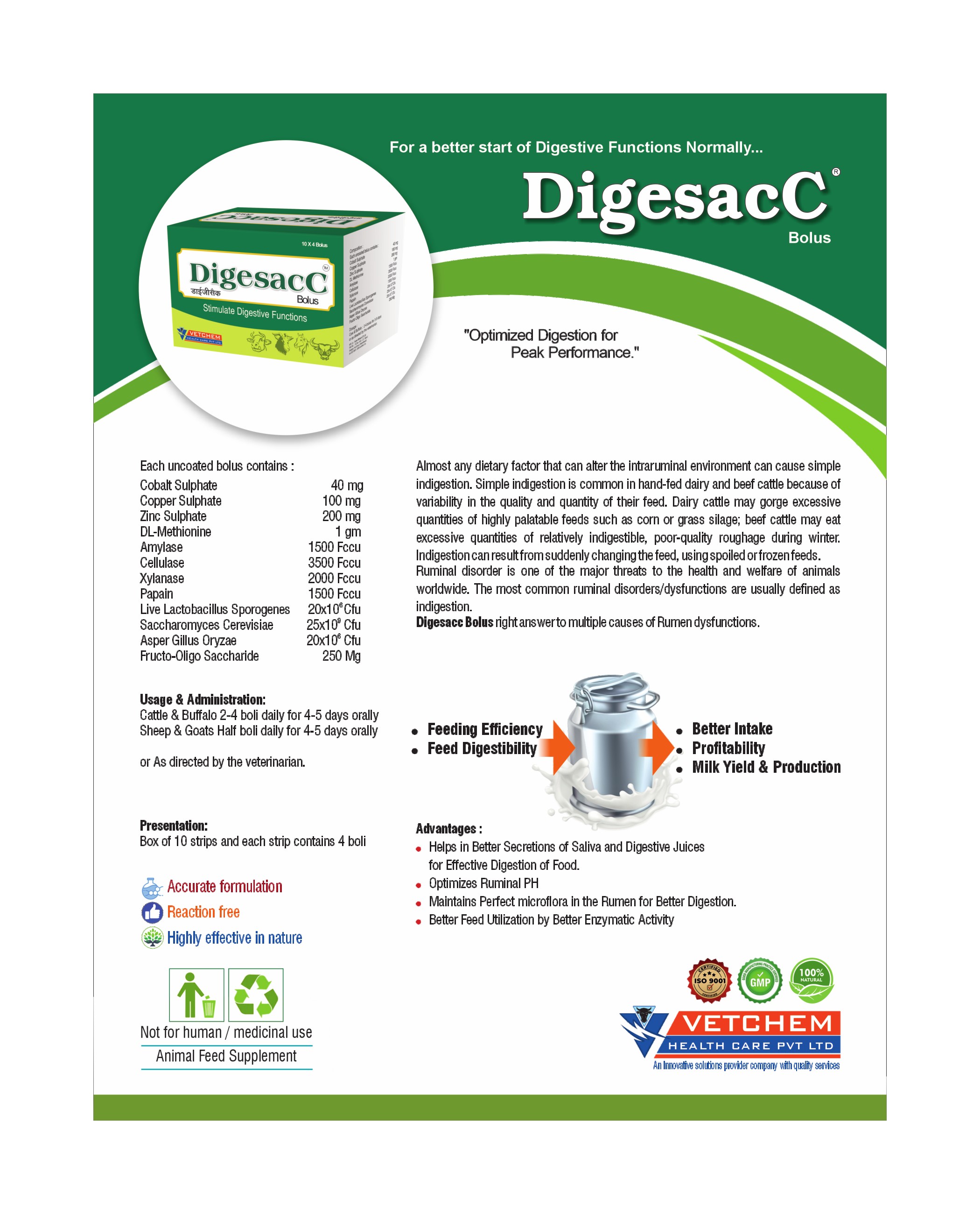 Brochure Page 17