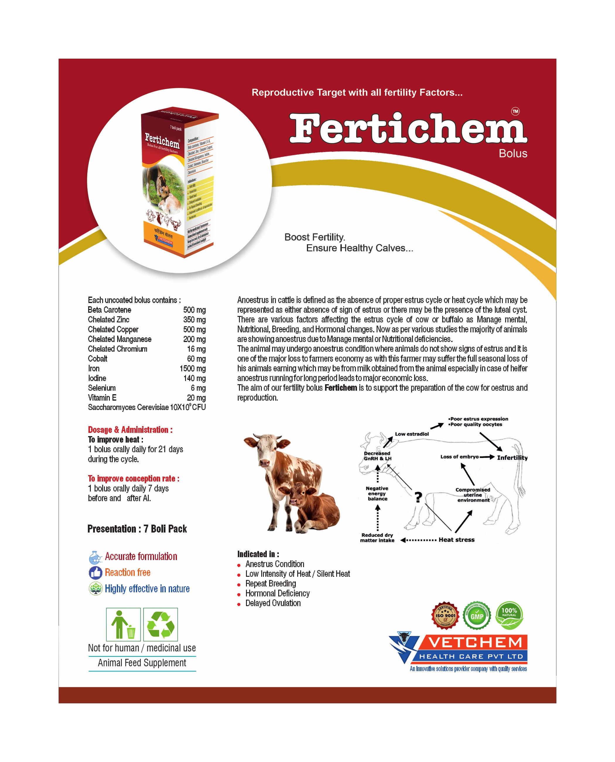 Brochure Page 18