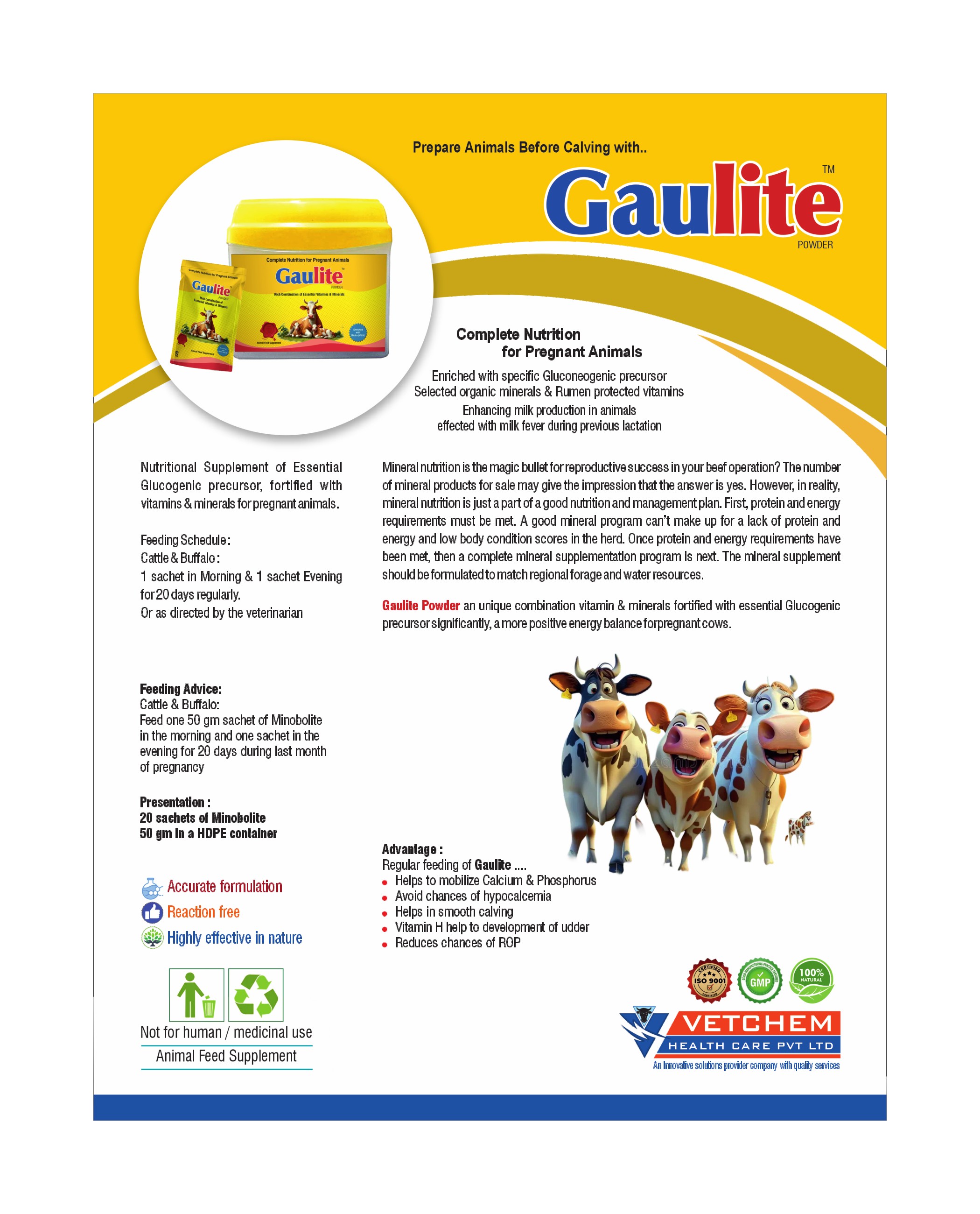 Brochure Page 19