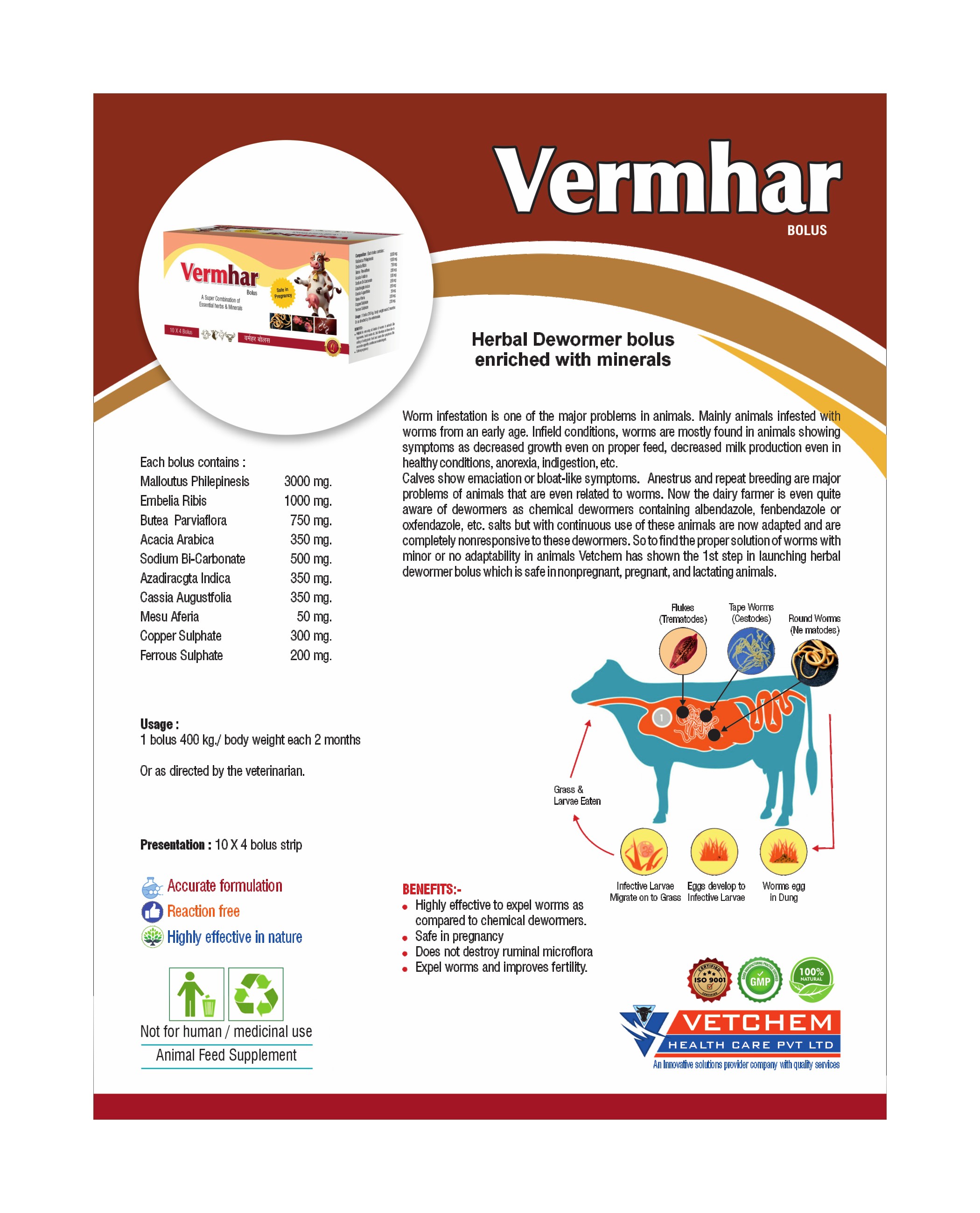 Brochure Page 24
