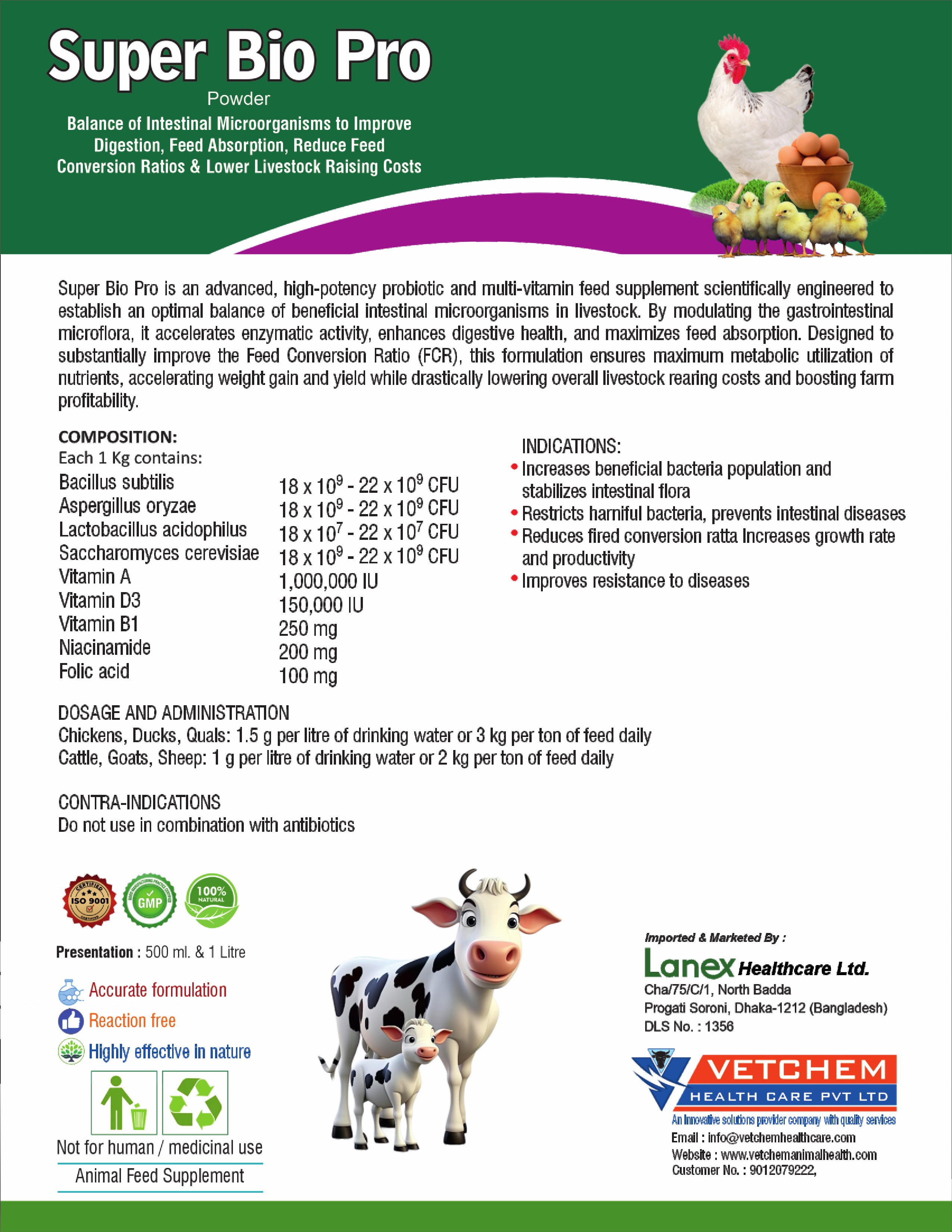 Brochure Page 7
