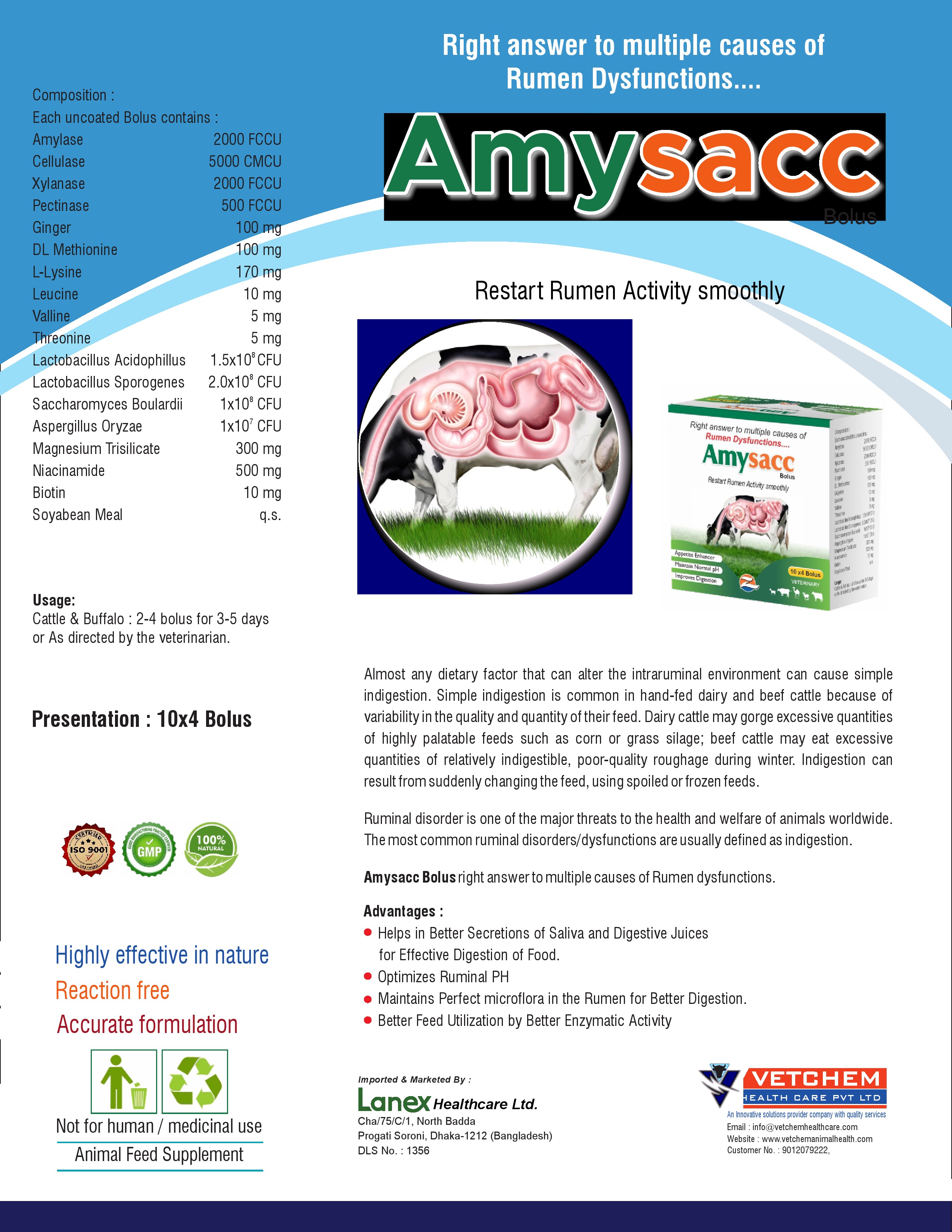 Brochure Page 8