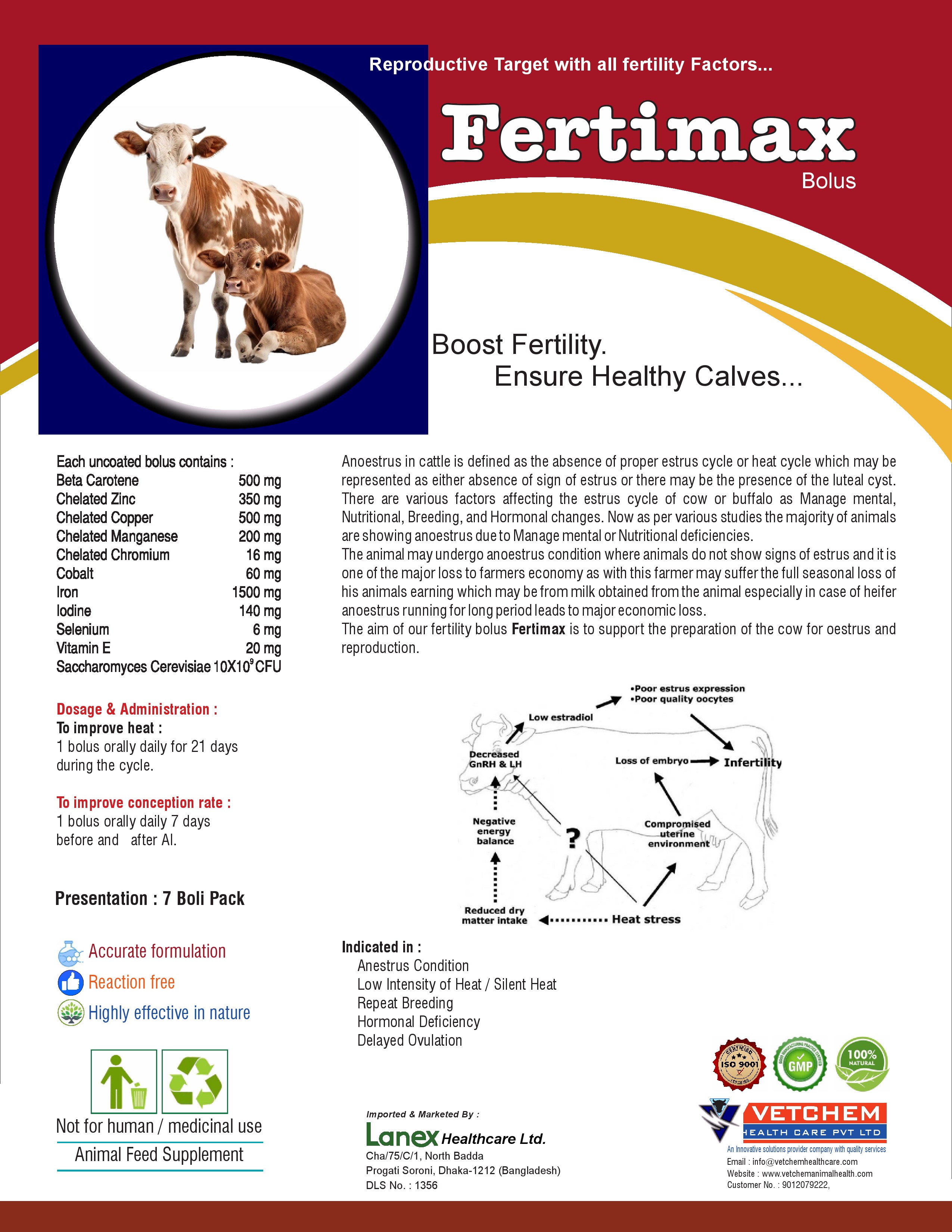 Brochure Page 13